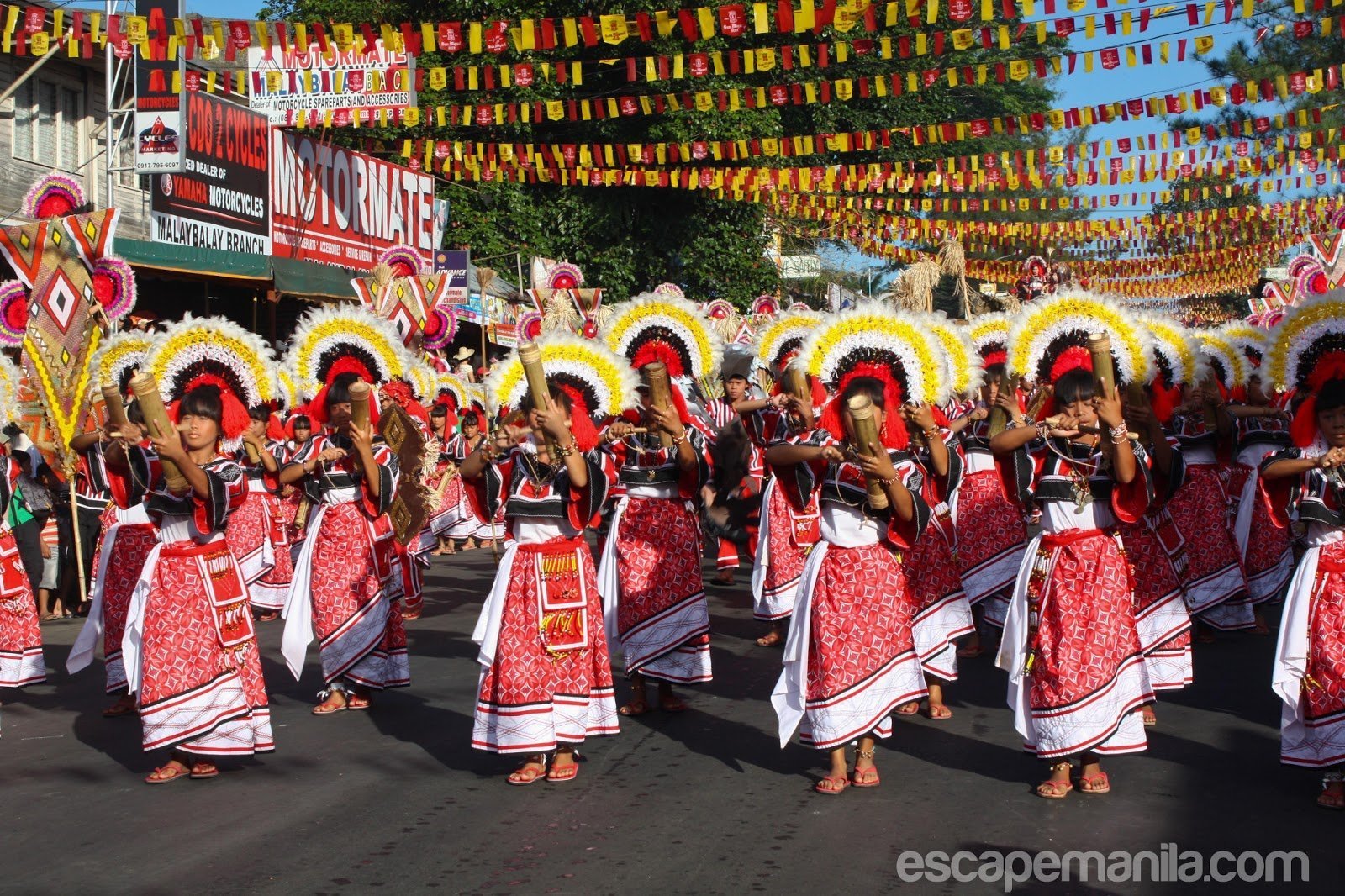 Read more about the article Kaamulan Festival 2019 Schedule of Events and Activities