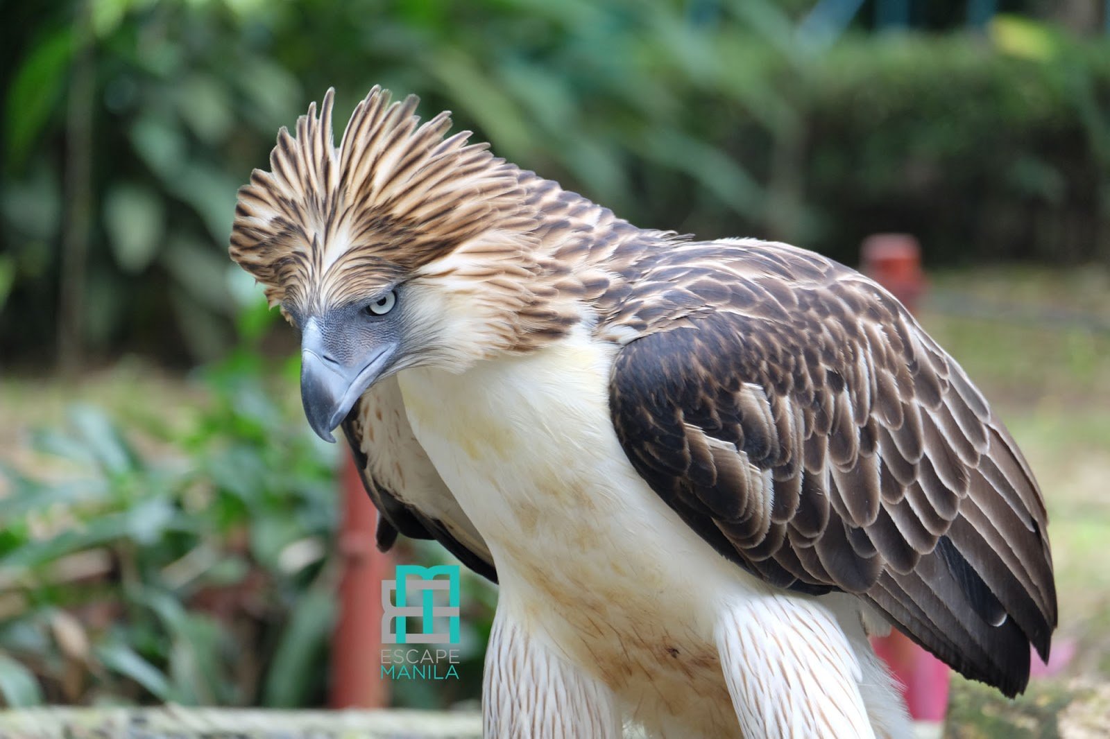 You are currently viewing 2020 Tourist Spots in Davao del Sur [And How To Get There]