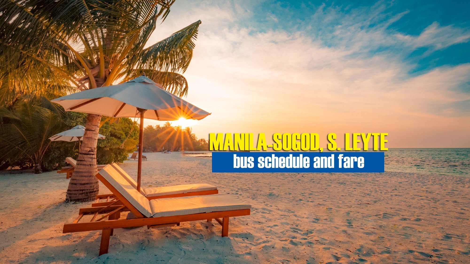 You are currently viewing Manila to Sogod Bus Schedule & Fare