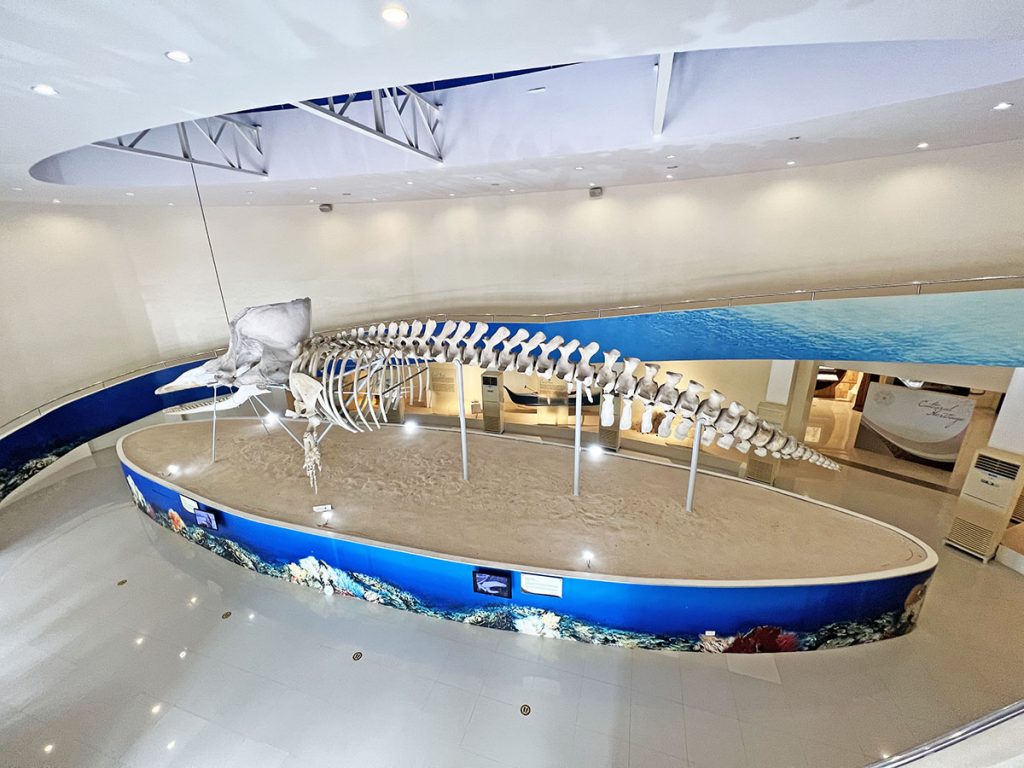 Subangan Museum in Mati City