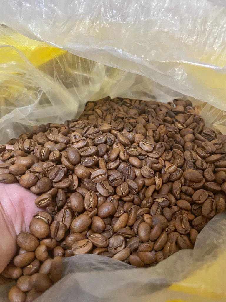 Medium Roasted Davao Mt. Apo Coffee Beans