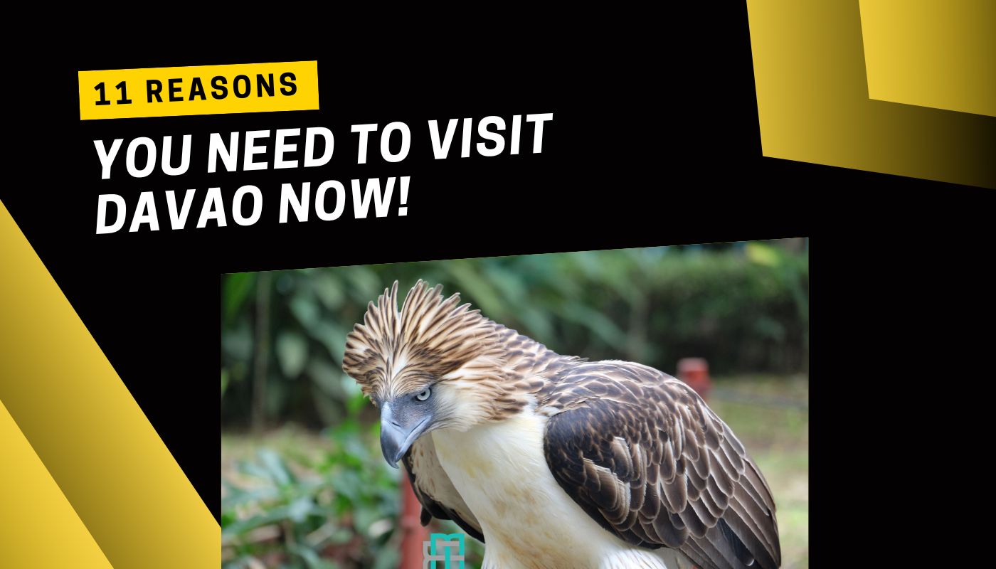 Read more about the article 11 Reasons You Need to Visit Davao: A Comprehensive Travel Guide